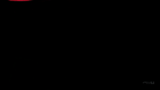 FitFight Logo